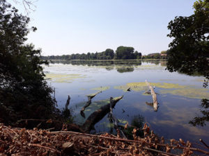 Etang | Cléry-sur-Somme