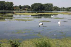 Etang | Cléry-sur-Somme